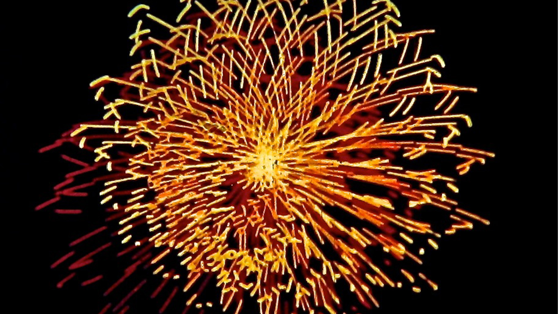 Şiirsel Manipülasyonlar görsel 4